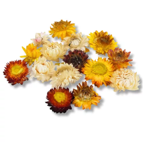 Szalma rózsa narancs 15db/csomag