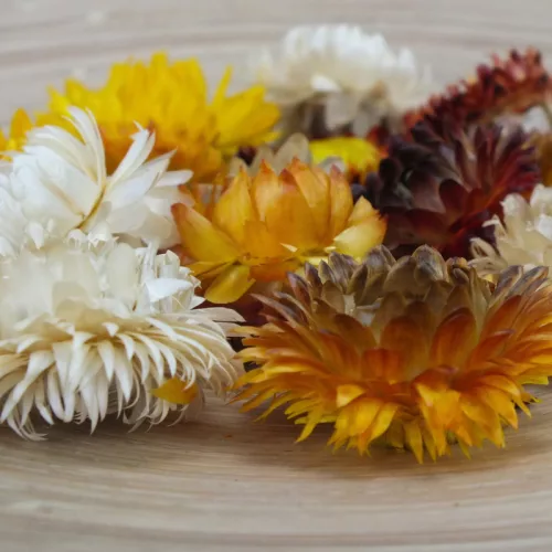 Szalma rózsa narancs 15db/csomag