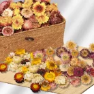 Szalma rózsa narancs 15db/csomag