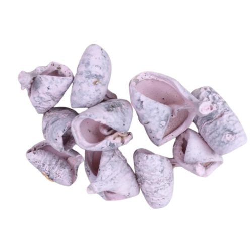 Rózsaszín csavart termés 10db/csomag