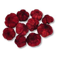 Termés fokhagyma piros 10db/csomag