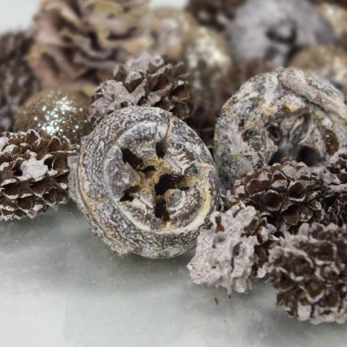 Advent terméscsomag hamvas