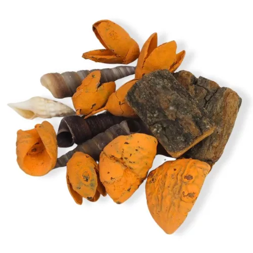 Narancs mediterrán terméscsomag