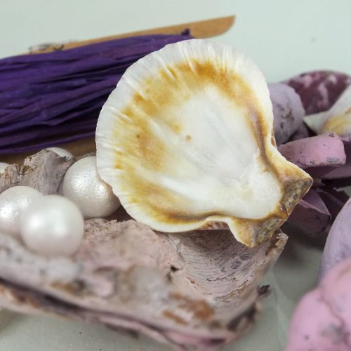 Lila sellő terméscsomag