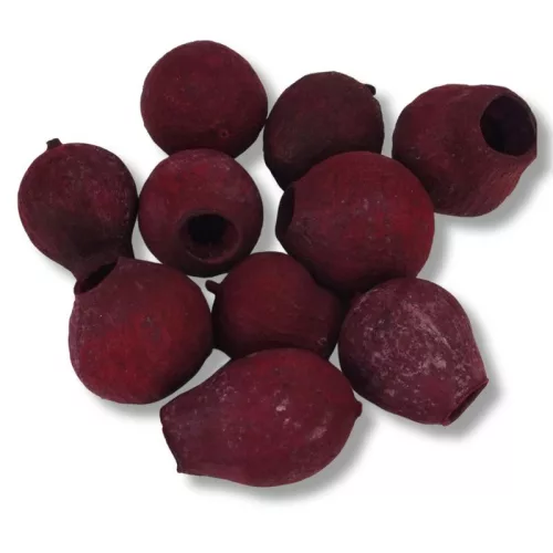 Eukalyptus Bell Gum Bordó