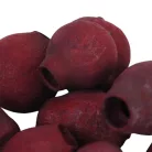 Eukalyptus Bell Gum Bordó