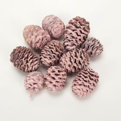 Cédrus toboz rózsaszín 10db/csomag