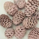 Cédrus toboz rózsaszín 10db/csomag