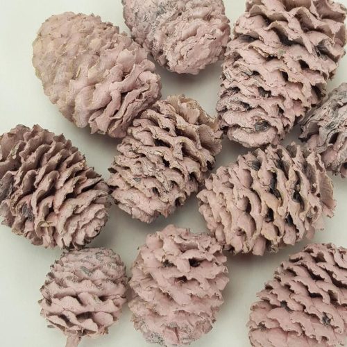 Cédrus toboz rózsaszín 10db/csomag