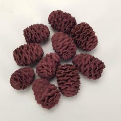 Cédrus toboz mályva 10db/csomag