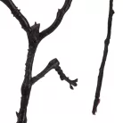 Virágzó ág krém-rózsaszín 60cm