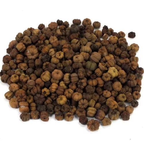 Tökbogyó barna 100 gramm/csom (kb. 320 db) - OKOSÁR!