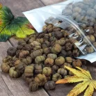 Tökbogyó barna 100 gramm/csom (kb. 320 db) - OKOSÁR!