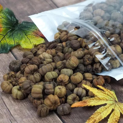 Tökbogyó barna 100 gramm/csom (kb. 320 db) - OKOSÁR!