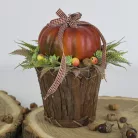 Tökbogyó barna 100 gramm/csom (kb. 320 db) - OKOSÁR!