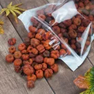 Tökbogyó narancs 100 gramm/csom (kb. 360 db) - OKOSÁR!