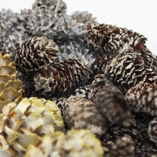 Terméscsomag winter