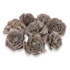 Cédrus rózsa vintage 8db/csomag