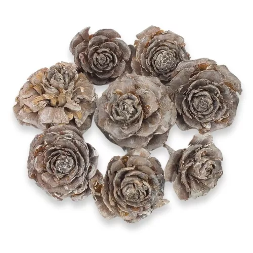 Cédrus rózsa vintage 8db/csomag