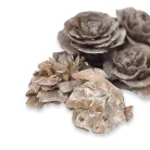 Cédrus rózsa vintage 8db/csomag