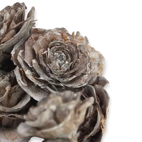 Cédrus rózsa vintage 8db/csomag