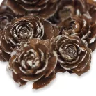 Cédrus rózsa havas 8db/csomag