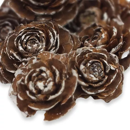 Cédrus rózsa havas 8db/csomag