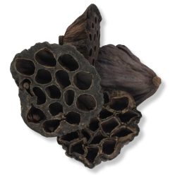 XL lótusz termés csomag 4db/cs