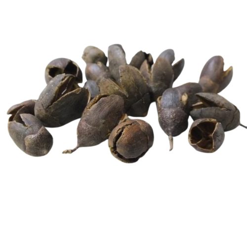 Bakuli termés 20db/csomag