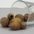 Eukalyptus Bell Gum natúr