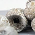 Eukalyptus Bell Gum zúzmarás