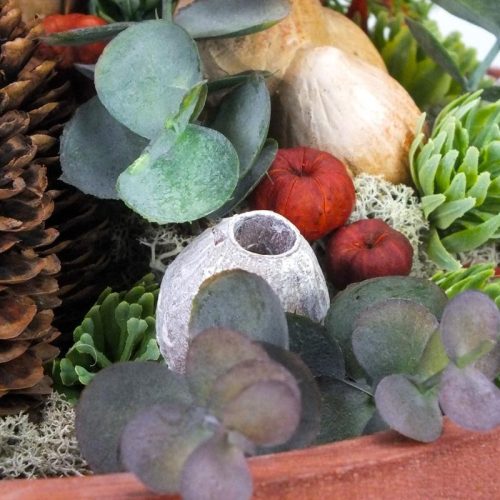 Eukalyptus Bell Gum zúzmarás