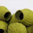 Eukalyptus Bell Gum Oliva