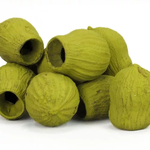 Eukalyptus Bell Gum Oliva