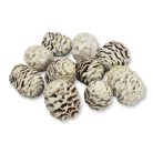 Toboz hamvas 10db/csomag