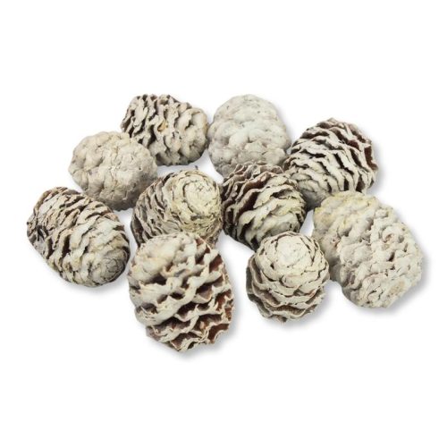 Toboz hamvas 10db/csomag