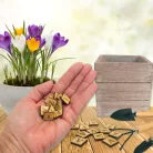 Natúr fa négyzetek - TAVASZ felirattal 2szett/csomag