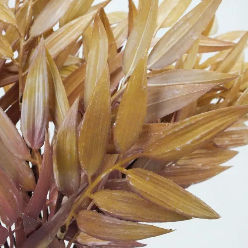 Szárazvirág hatású ruszkusz csokor natúr-mályva 2db/csomag