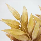 Szárazvirág hatású ruszkusz csokor natúr-mályva 2db/csomag