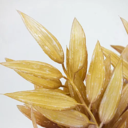 Szárazvirág hatású ruszkusz csokor natúr-mályva 2db/csomag