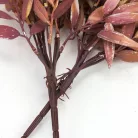 Szárazvirág hatású ruszkusz csokor natúr-mályva 2db/csomag