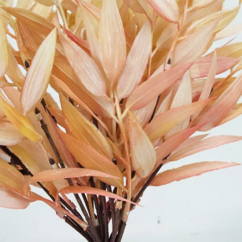 Szárazvirág hatású ruszkusz csokor púder 2db/csomag