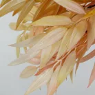 Szárazvirág hatású ruszkusz csokor púder 2db/csomag