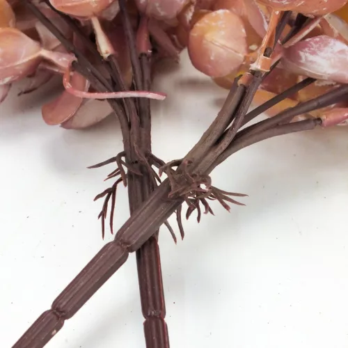 Szárazvirág hatású eukaliptusz csokor natúr-mályva 2db/csomag