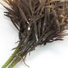 Szárazvirág hatású bambusz csokor dohánybarna 2db/csomag