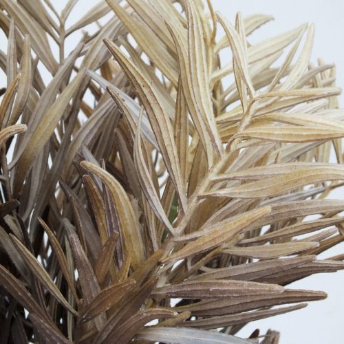 Szárazvirág hatású bambusz csokor dohánybarna 2db/csomag