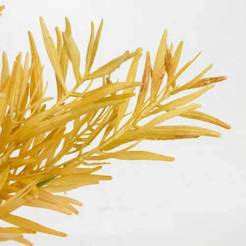 Szárazvirág hatású bambusz csokor homoksárga 2db/csomag