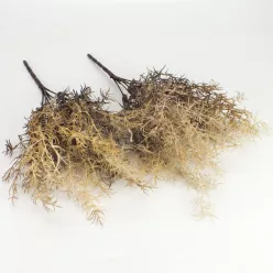   Szárazvirág hatású aszparágusz csokor dohánybarna 2db/csomag