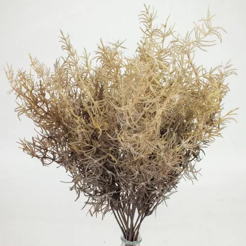 Szárazvirág hatású aszparágusz csokor dohánybarna 2db/csomag