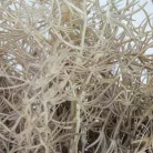 Szárazvirág hatású aszparágusz csokor dohánybarna 2db/csomag